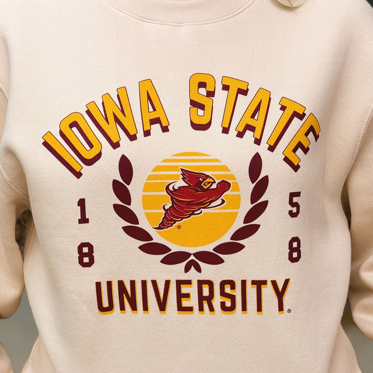Uscape Punching Cy Sand Midweight Crewneck Sweatshirt design close up